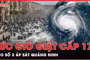 Bão số 3 (Yagi) có thể giật cấp 17, Quảng Ninh ứng phó khẩn cấp
