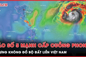 Bão số 5 giật cấp 17, 'làm mưa làm gió' trên biển Đông, nhưng không đổ bộ đất liền Việt Nam