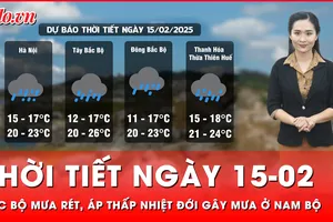 Dự báo thời tiết ngày 15-02: Bắc Bộ mưa rét, Nam Bộ mưa giông do ảnh hưởng áp thấp nhiệt đới 