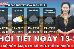 Dự báo thời tiết ngày 13-3: Bắc Bộ nồm ẩm, Nam Bộ mưa giông nhiều nơi 