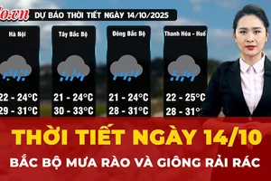 Dự báo thời tiết ngày 14-10: Bắc Bộ mưa rào và giông rải rác 