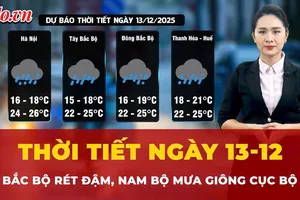 Dự báo thời tiết ngày 13-12: Bắc Bộ rét đậm, Nam Bộ mưa giông cục bộ