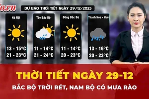 Dự báo thời tiết ngày 29-12: Bắc Bộ trời rét, Nam Bộ có mưa rào và giông vài nơi 