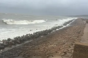 Kè biển 'động cơ cát': Thuận tự nhiên, chịu được sóng dữ 