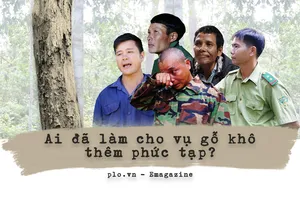 Ai đã làm cho vụ cưa gỗ khô thêm phức tạp?