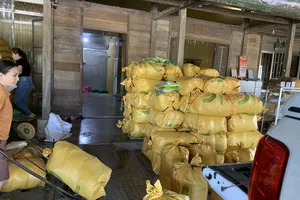 Dẻo thơm nếp quýt Đạ Tẻh