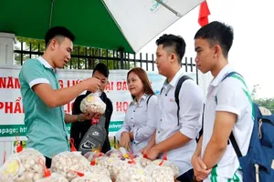 Sinh viên bán hành, tỏi giúp bà con nông dân Lý Sơn