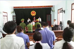 Trộm 25 củ sâm Ngọc Linh bán lấy tiền ăn Tết