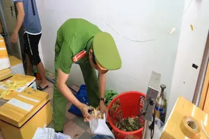 Đà Nẵng: Phát hiện tôm hùm bơm tạp chất tăng trọng