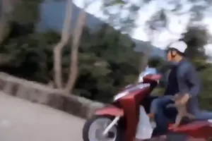 1 khỉ con bị bắt trộm, đàn khỉ lớn kêu gào đuổi theo