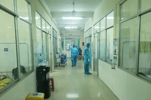 Đà Nẵng: Khen thưởng đột xuất cá nhân, tập thể chống COVID-19