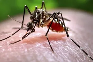 Cập nhật thông tin về bệnh nhân nhiễm Zika tại Đà Nẵng 