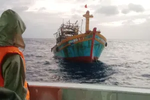 Vượt sóng to, cứu tàu cá của ngư dân Đà Nẵng gặp nạn