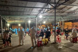 Dừng hoạt động cảng cá lớn nhất Đà Nẵng vì 5 ca nhiễm COVID-19 ở Quảng Ngãi