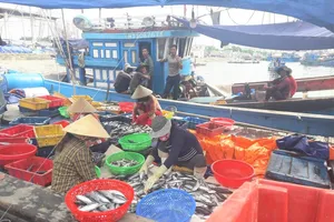 Chủ tịch Đà Nẵng: Chống dịch nhưng vẫn phải bảo vệ ngư dân