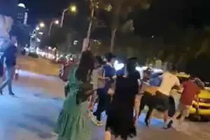 Công an điều tra vụ hướng dẫn viên bị kẹp cổ lôi đi trước mặt du khách