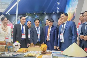 Đà Nẵng quyết tâm khôi phục mạng lưới bay quốc tế