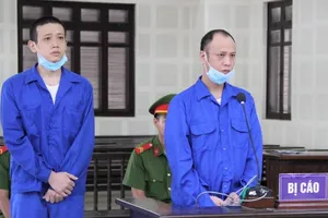 Chủ đi vắng, đầu bếp trộm két sắt tiền tỉ