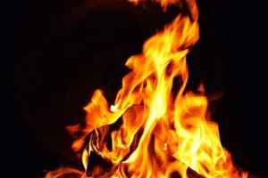 Cháu sát hại mợ, đốt xác phi tang, cướp tài sản