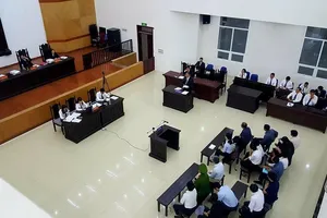 'Để luật sư thỏa mãn thì giờ Tý cũng không hết được'