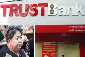 Bà Hứa Thị Phấn trở thành đại gia nhờ đâu?