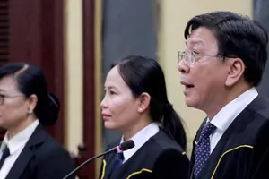 Tòa, viện nói về chứng cứ mới của luật sư bà Hứa Thị Phấn