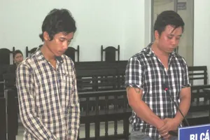 Ham mua xe giá rẻ, lãnh án tù