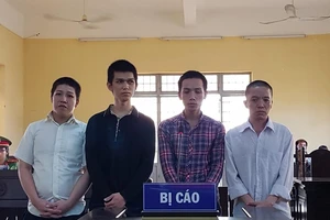 4 thanh niên trộm 7 trái mít