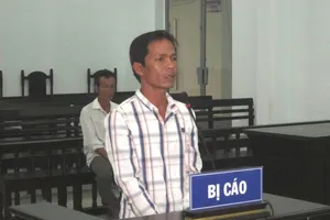 Cây ngã người… đi tù