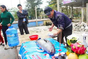 Xác cá ông dạt vào bờ biển được người dân làm lễ an táng