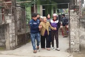 Chủ bị trâu húc chết khi đang cày ruộng