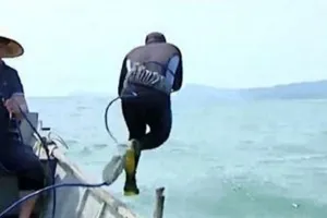 Lo nhiễm độc đồng, thợ lặn ở Formosa tiếp tục đi xét nghiệm