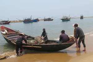 15/17 mẫu nước biển ở Quảng Trị đảm bảo chất lượng 