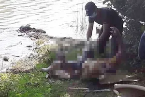 Phát hiện 1 tử thi nổi trên sông Lam