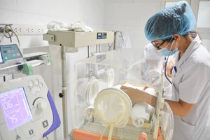 Buộc phải sinh non vì phát bệnh dại sau 5 tháng bị chó cắn