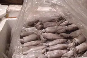 Hà Tĩnh: Tiêu hủy 275 tấn hải sản nhiễm độc Phenol