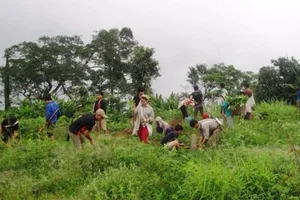 Một xã có tới 20 trẻ em bị suy thận, 2 em đã tử vong