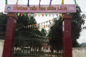 Cô giáo đánh hơn 20 học sinh vì... thất vọng