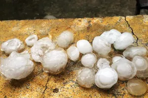 Mưa đá to bằng ngón tay trút xuống miền núi Nghệ An