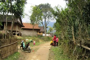 Uống rượu rồi đâm chết chủ nhà vì ghen tuông