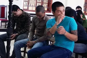 Sử dụng ma túy cho tỉnh ngủ để... lái xe