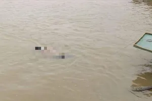 Nghi vấn đôi nam nữ nhảy sông Lam tự tử