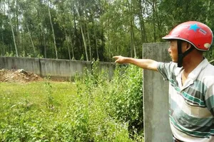 Đi thắp hương, 20 người chạy tán loạn vì ong đuổi