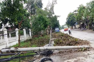 Bão số 2 làm 8 người chết, 2 thuyền viên đang mất tích