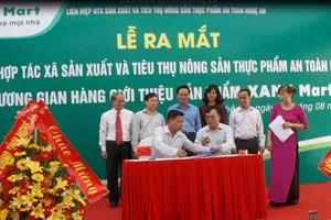 Khai trương cửa hàng sản phẩm rau sạch không hóa chất