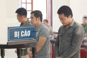 Siết nợ... nhầm cả đàn dê