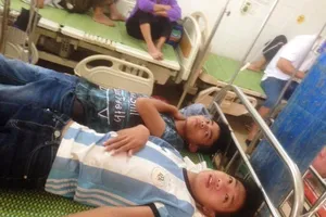 Ong rừng tấn công 15 học sinh và người dân nhập viện