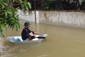 Mưa trắng trời, người dân đi thuyền trong TP Vinh