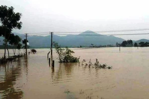 Nghệ An 8 người chết, thủy điện đồng loạt xả lũ