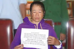 Bắt người phụ nữ trộn ma túy tổng hợp vào nông sản 